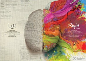 Left & Right brain image for Missouri Institute of Natural Sciences